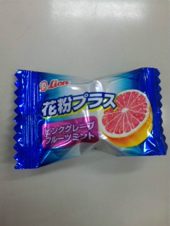 100226_173640.jpg
