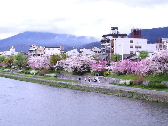 H0000020490.jpg