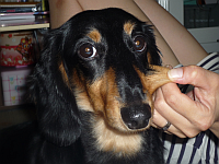 P1000011.bmp